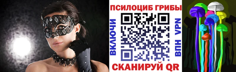 Псилоцибиновые грибы Psilocybe  Купить  Струнино 